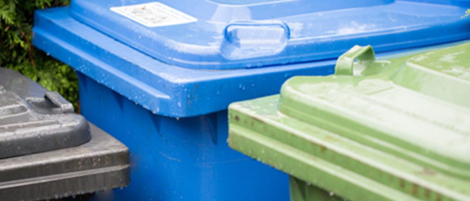 Green, blue and brown wheelie bins